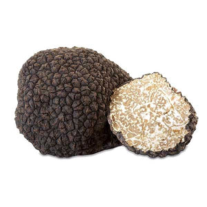 Tuber Aestivum Vitt. (Scorzone) / Black Summer Truffle