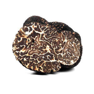 Tuber Brumale Vitt. / Black Winter Truffle