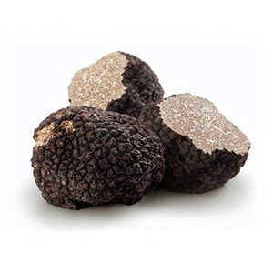 Tuber Uncinatum (Scorzone) / Black Autumn Truffle